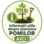 Cum se planteaza pomii fructiferi in livada