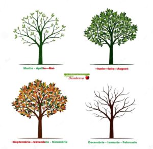 Operatia de plantare reprezinta, pentru pomul tanar, o expunere serioasa la numerosi factori de stress. Dintre acestia cel mai important este legat de afectarea sistemului redicular care se petrece la scoaterea pomului din solul pepinierei pentru a fi replantat in alta parte.