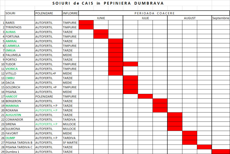 perioada inflorire coacere flowering ripening period cais albicoco apricot viorica pepiniera dumbrava gigi cobadin valu traian baneasa maracineni roman